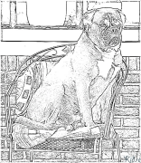 boxer Printable Coloring Nplooj Ntawv